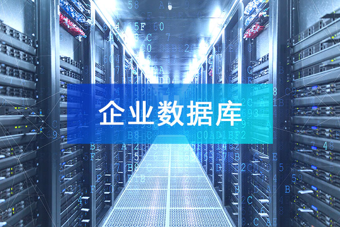 企業(yè)數(shù)據(jù)庫