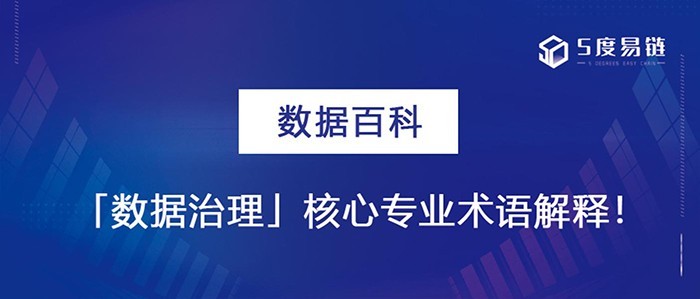 數(shù)據(jù)治理核心專業(yè)術(shù)語解釋！